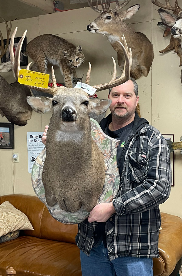 Deer Taxidermy on camo plaque